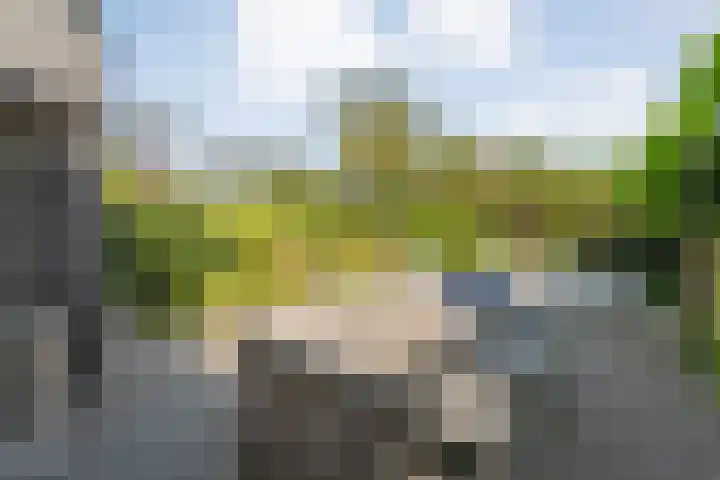 Bovenmaat 41 Hardenberg thumbnail 42
