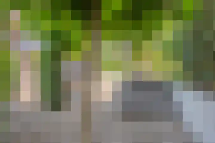 Bovenmaat 41 Hardenberg thumbnail 44