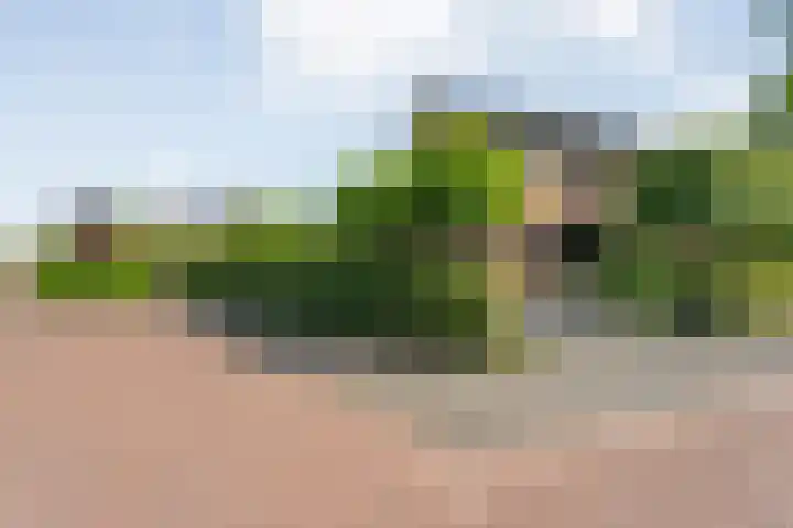 Bovenmaat 41 Hardenberg thumbnail 47