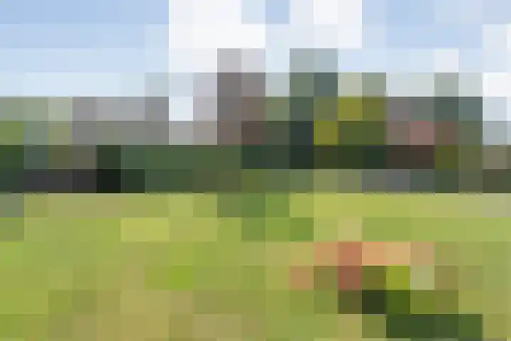Bovenmaat 41 Hardenberg thumbnail 49