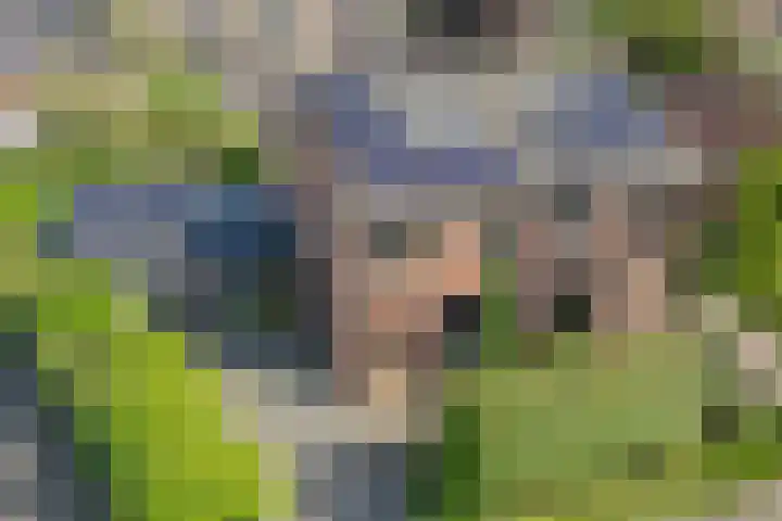 Bovenmaat 41 Hardenberg thumbnail 5