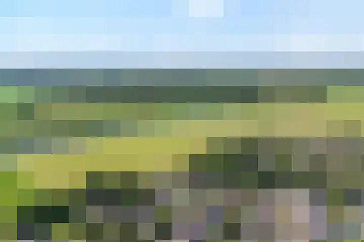 Bovenmaat 41 Hardenberg thumbnail 52