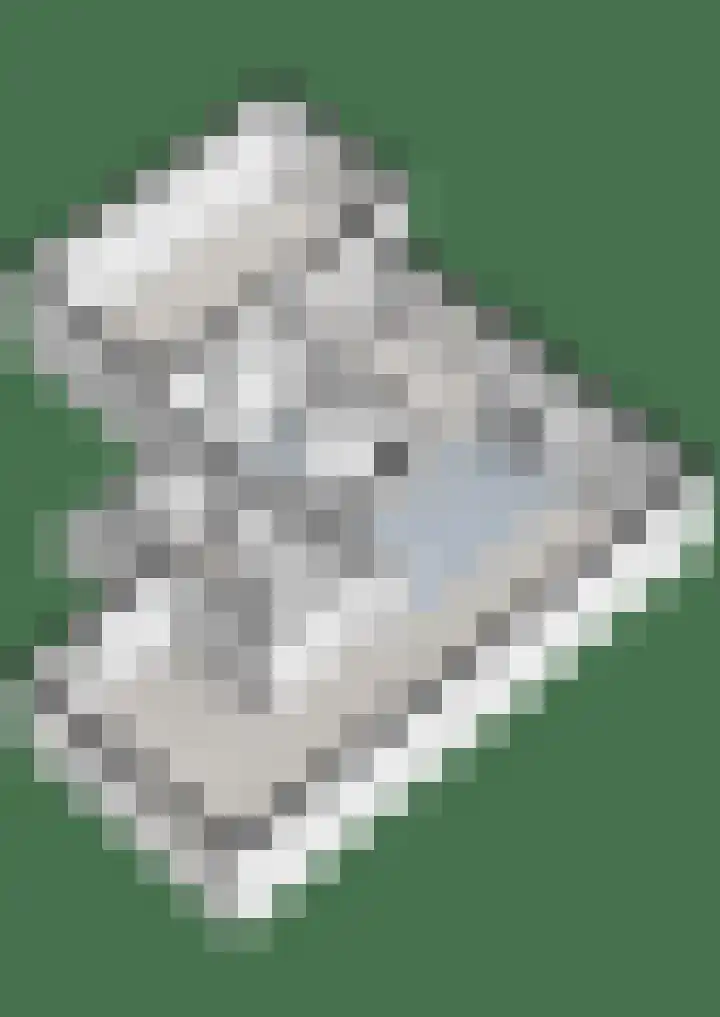 Bovenmaat 41 Hardenberg thumbnail 56