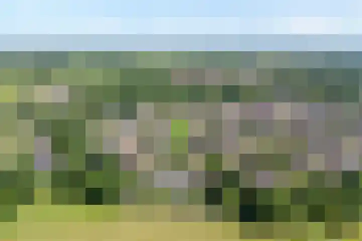 Bovenmaat 41 Hardenberg thumbnail 6