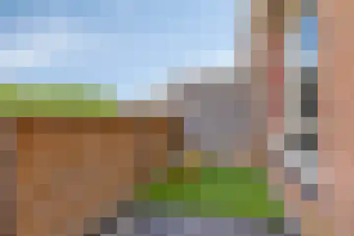 Bovenmaatweg 165 Huizen thumbnail 16