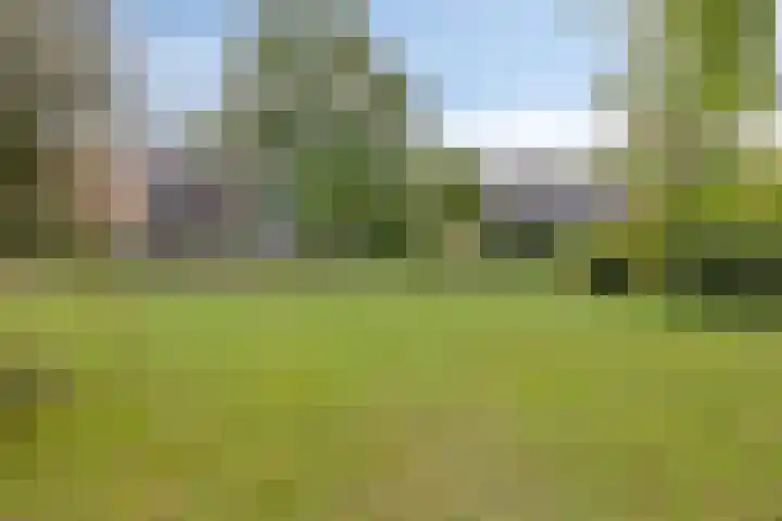 Bovenmaatweg 165 Huizen thumbnail 28