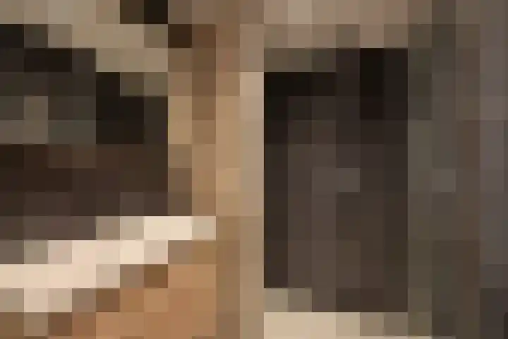 Bovenmaatweg 253 Huizen thumbnail 10