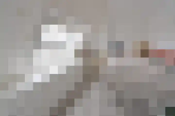 Bovenmaatweg 253 Huizen thumbnail 12
