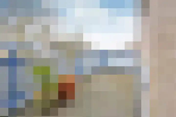 Bovenmaatweg 253 Huizen thumbnail 13