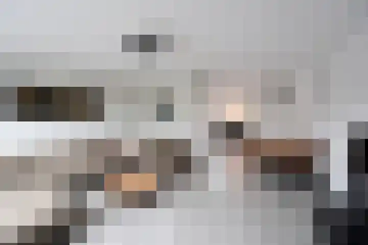 Bovenmaatweg 253 Huizen thumbnail 5