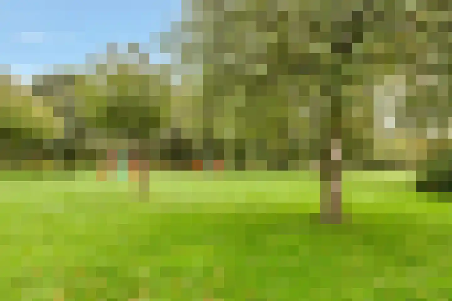 Bovenmaatweg 292 Huizen thumbnail 29