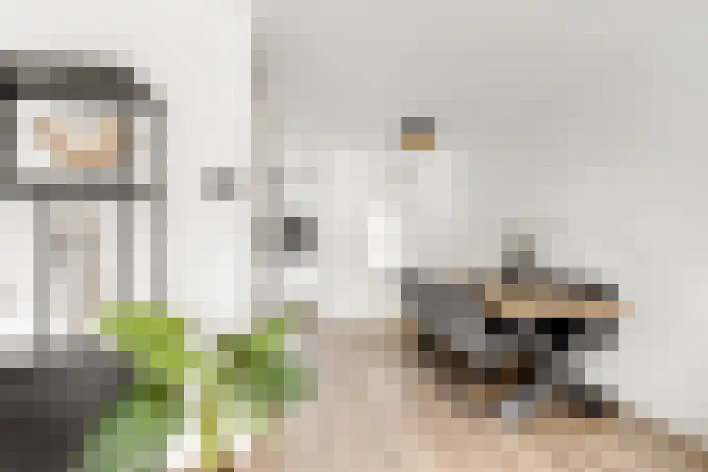 Bovenmaatweg 292 Huizen thumbnail 5