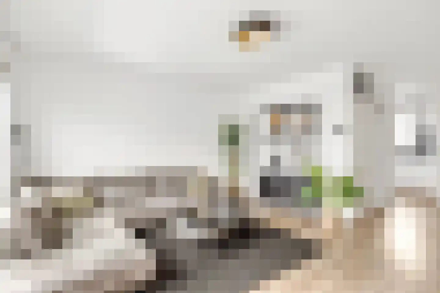 Bovenmaatweg 292 Huizen thumbnail 8