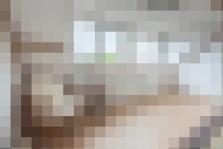 Bovenmaatweg 388 Huizen thumbnail 31