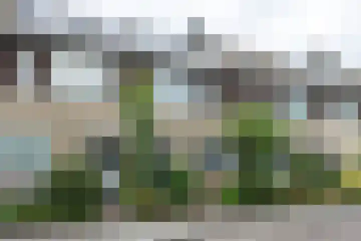 Bovenmaatweg 388 Huizen thumbnail 42