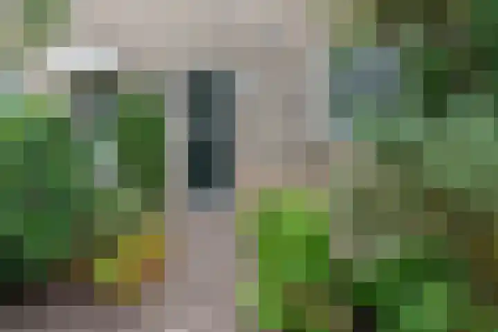 Bovenmaatweg 388 Huizen thumbnail 43
