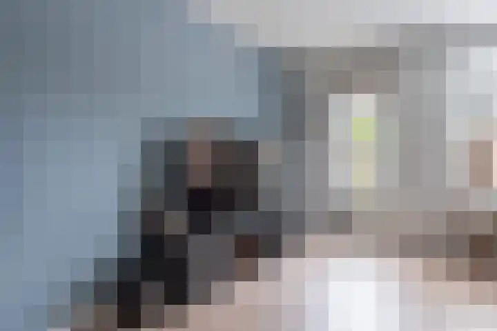 Bovenmaatweg 388 Huizen thumbnail 8
