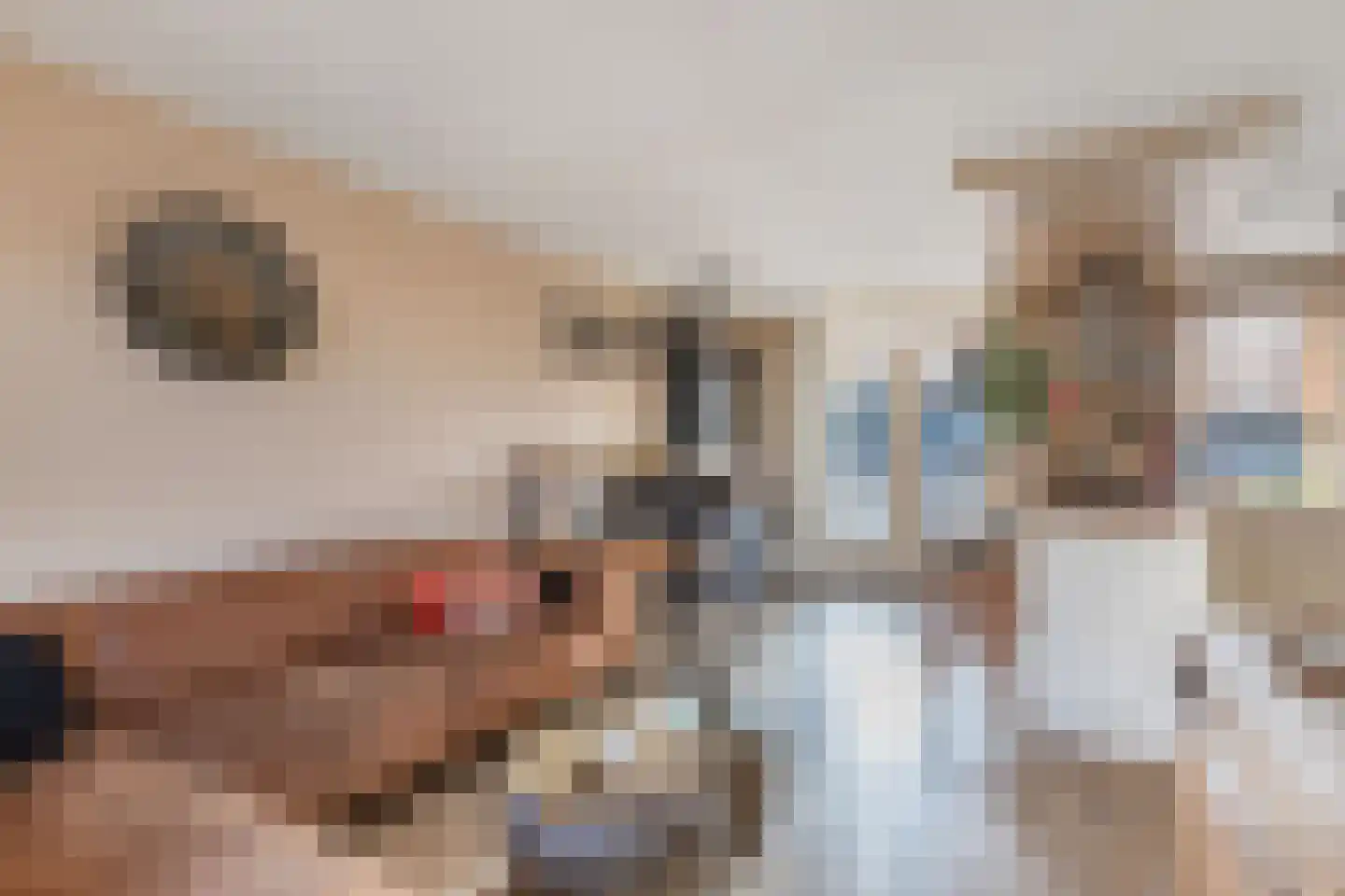 Bovenmaatweg 61 Huizen thumbnail 8