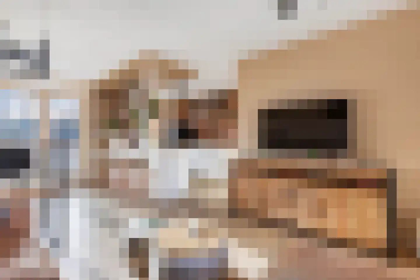 Bovenmaatweg 61 Huizen thumbnail 9