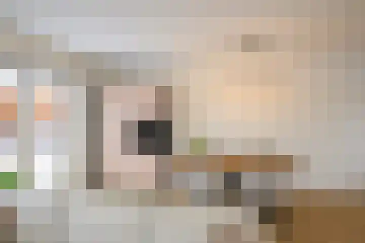 Bovenmaatweg 79 Huizen thumbnail 10