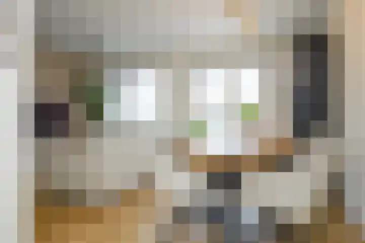 Bovenmaatweg 79 Huizen thumbnail 11