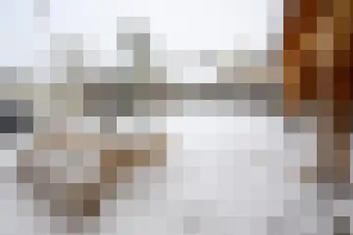 Bovenmaatweg 79 Huizen thumbnail 15