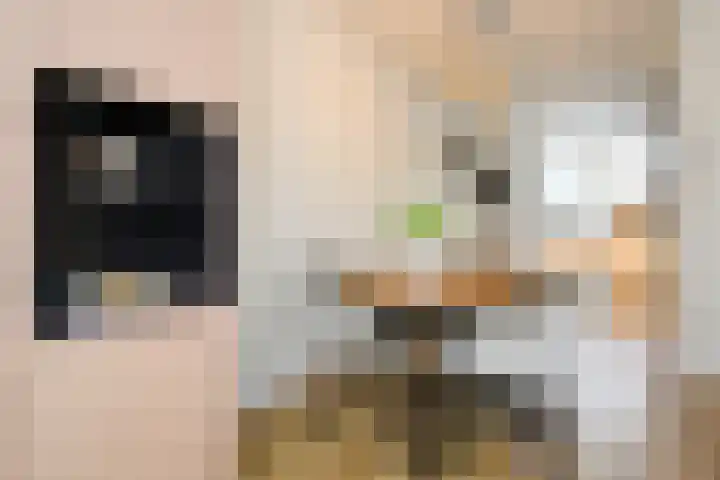 Bovenmaatweg 79 Huizen thumbnail 18