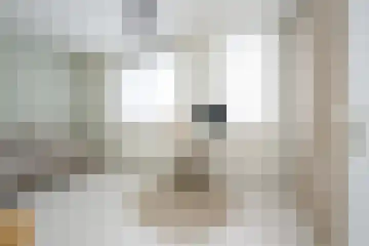 Bovenmaatweg 79 Huizen thumbnail 25
