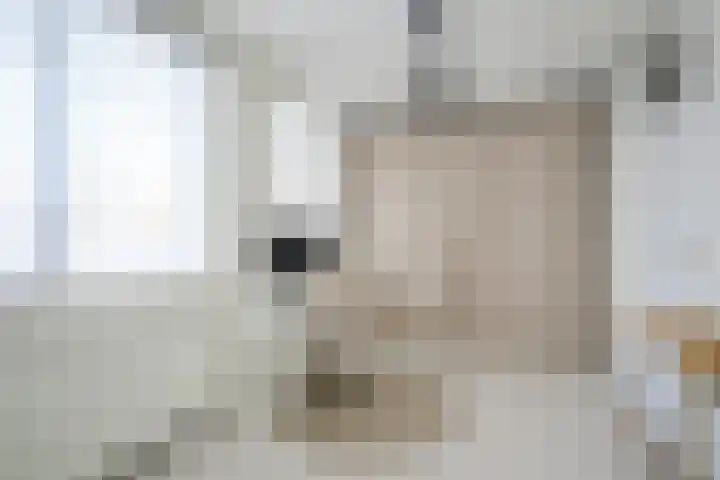 Bovenmaatweg 79 Huizen thumbnail 27