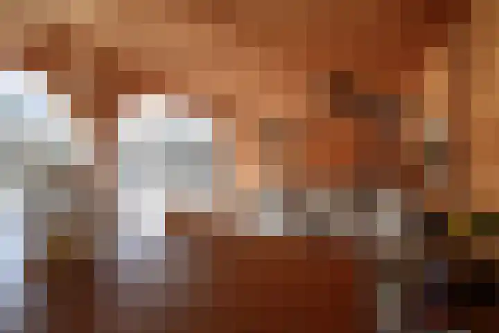 Bovenmaatweg 79 Huizen thumbnail 36