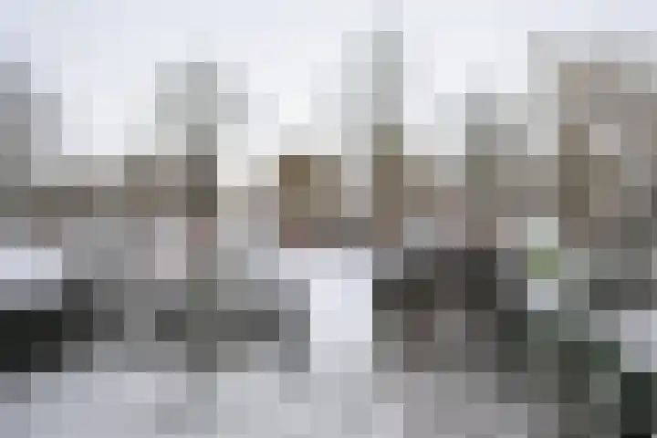 Bovenmaatweg 79 Huizen thumbnail 5