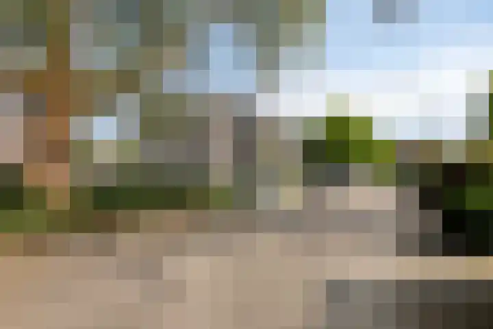 Bovenmeester 19 Heeswijk-Dinther thumbnail 18