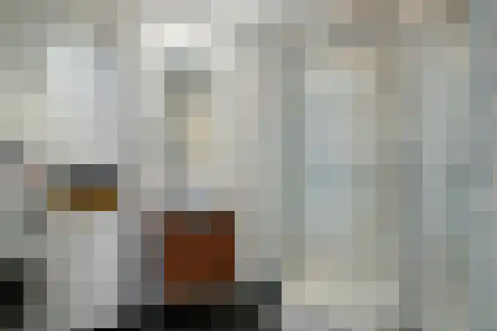 Bovenmeester 19 Heeswijk-Dinther thumbnail 22