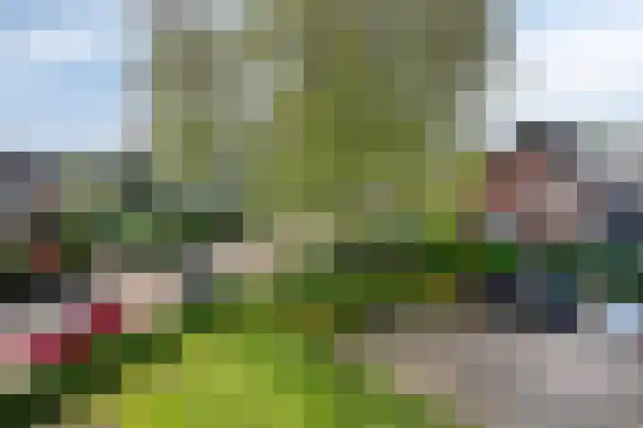 Bovenmeester 19 Heeswijk-Dinther thumbnail 27