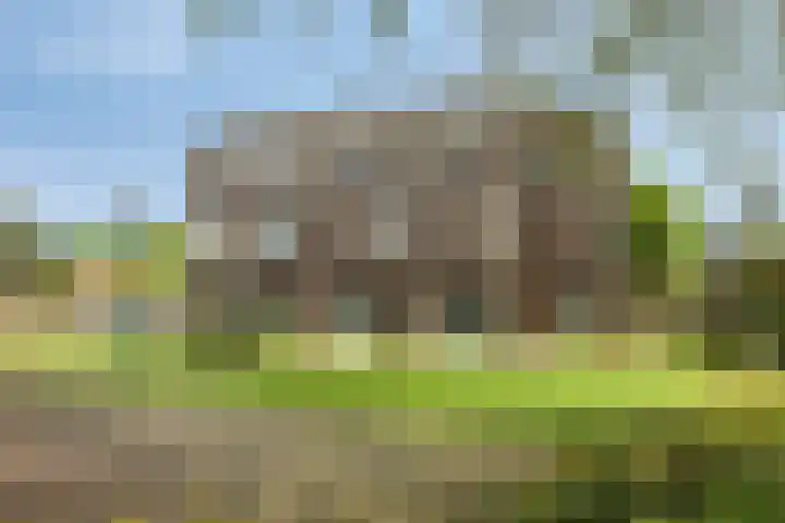 Bovenmeester 19 Heeswijk-Dinther thumbnail 32