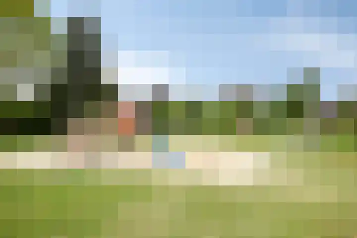Bovenmeester 19 Heeswijk-Dinther thumbnail 34