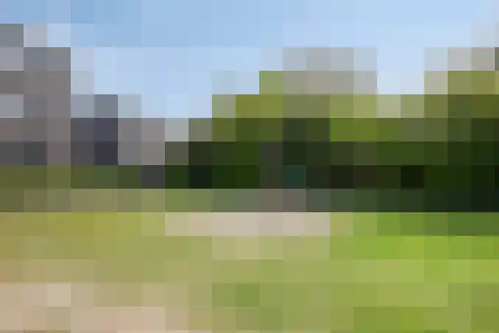 Bovenmeester 19 Heeswijk-Dinther thumbnail 35