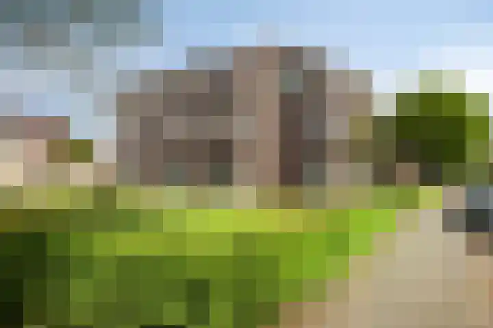 Bovenmeester 19 Heeswijk-Dinther thumbnail 39