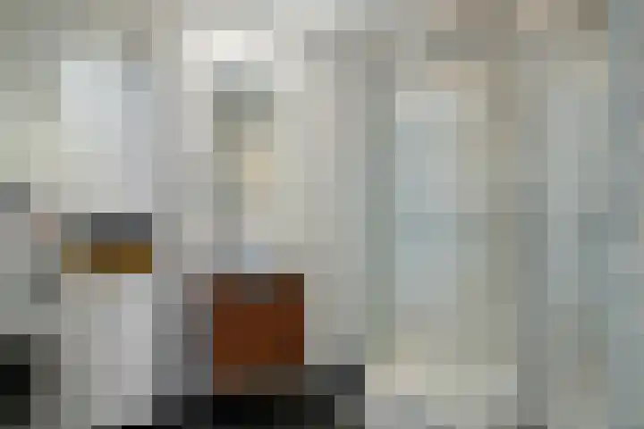 Bovenmeester 19 Heeswijk-Dinther thumbnail 4