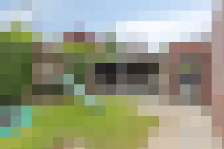 Bovenmeester 55 Heeswijk-Dinther thumbnail 36