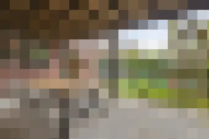 Bovenmeester 55 Heeswijk-Dinther thumbnail 38