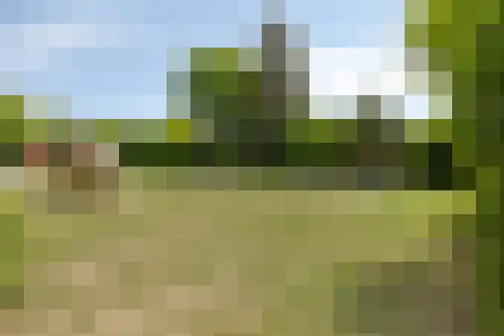 Bovenmeester 55 Heeswijk-Dinther thumbnail 43