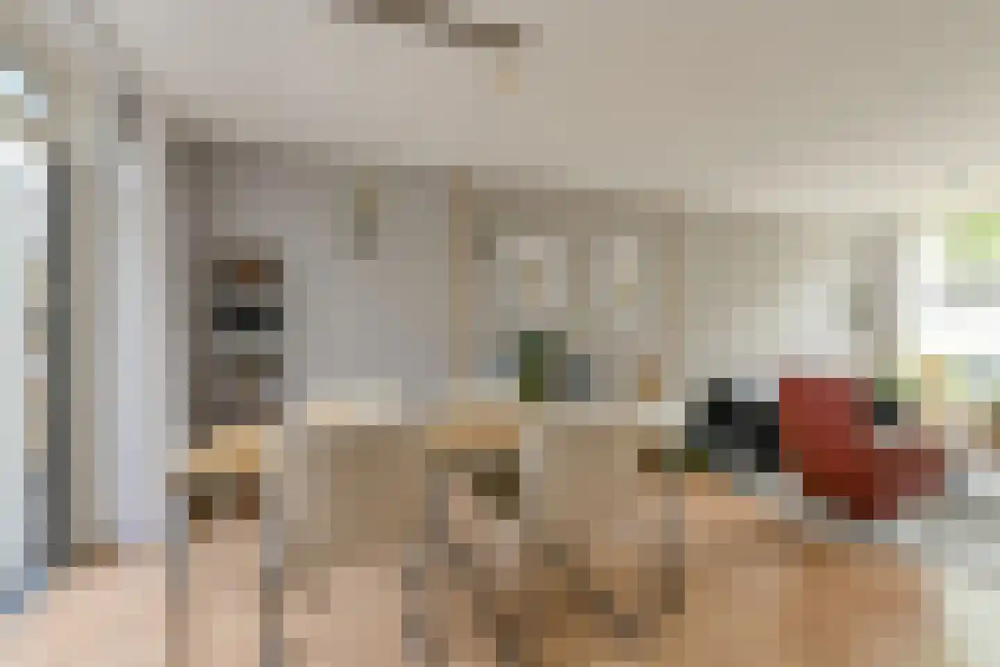 Bovenmoeren 8 Breda thumbnail 11
