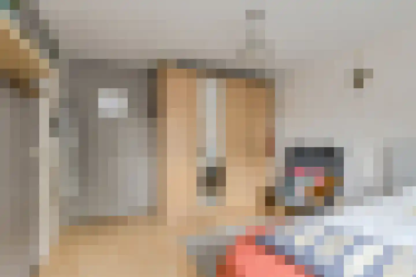Bovenmoeren 8 Breda thumbnail 21