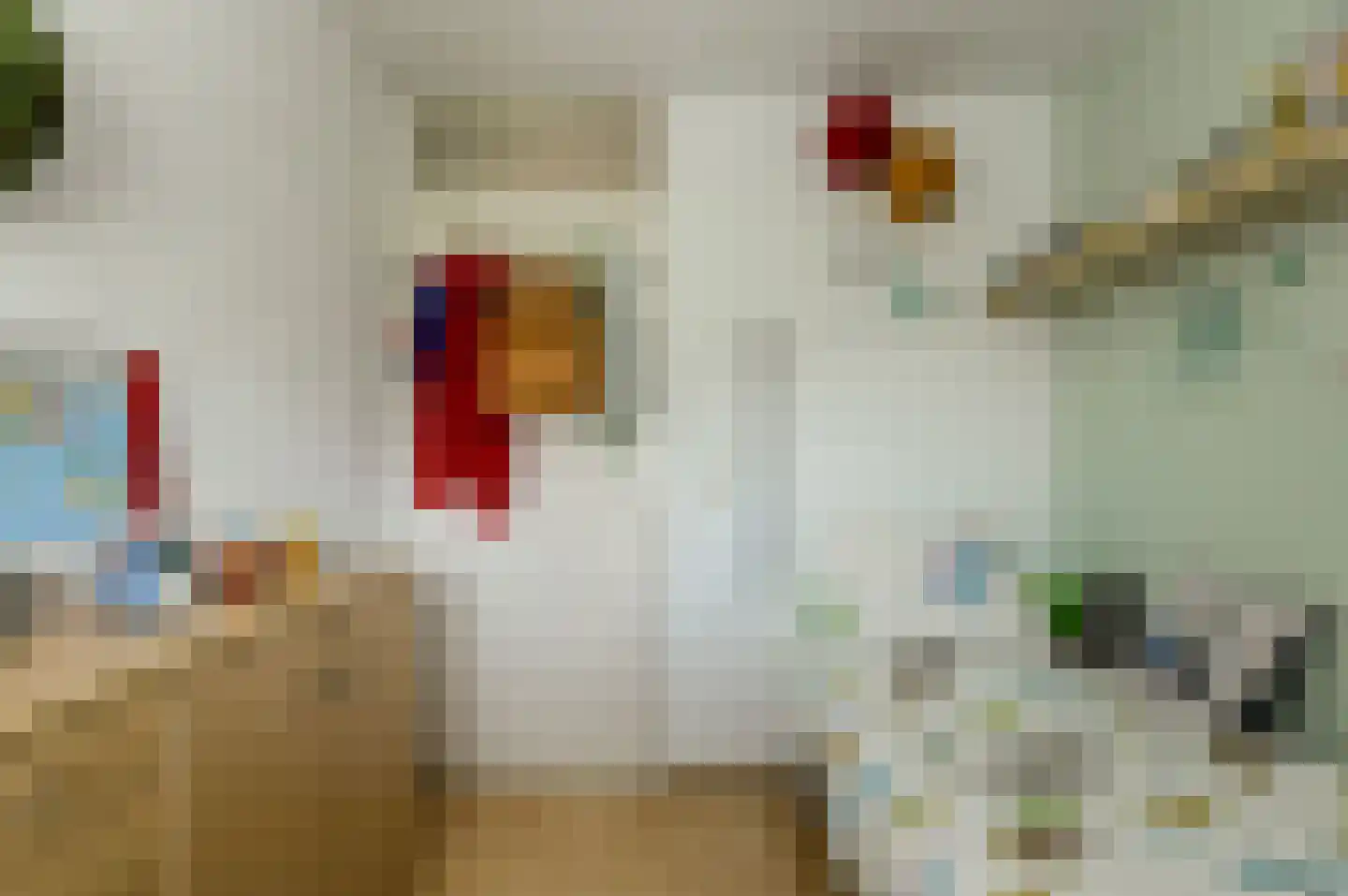 Bovenmoeren 8 Breda thumbnail 29