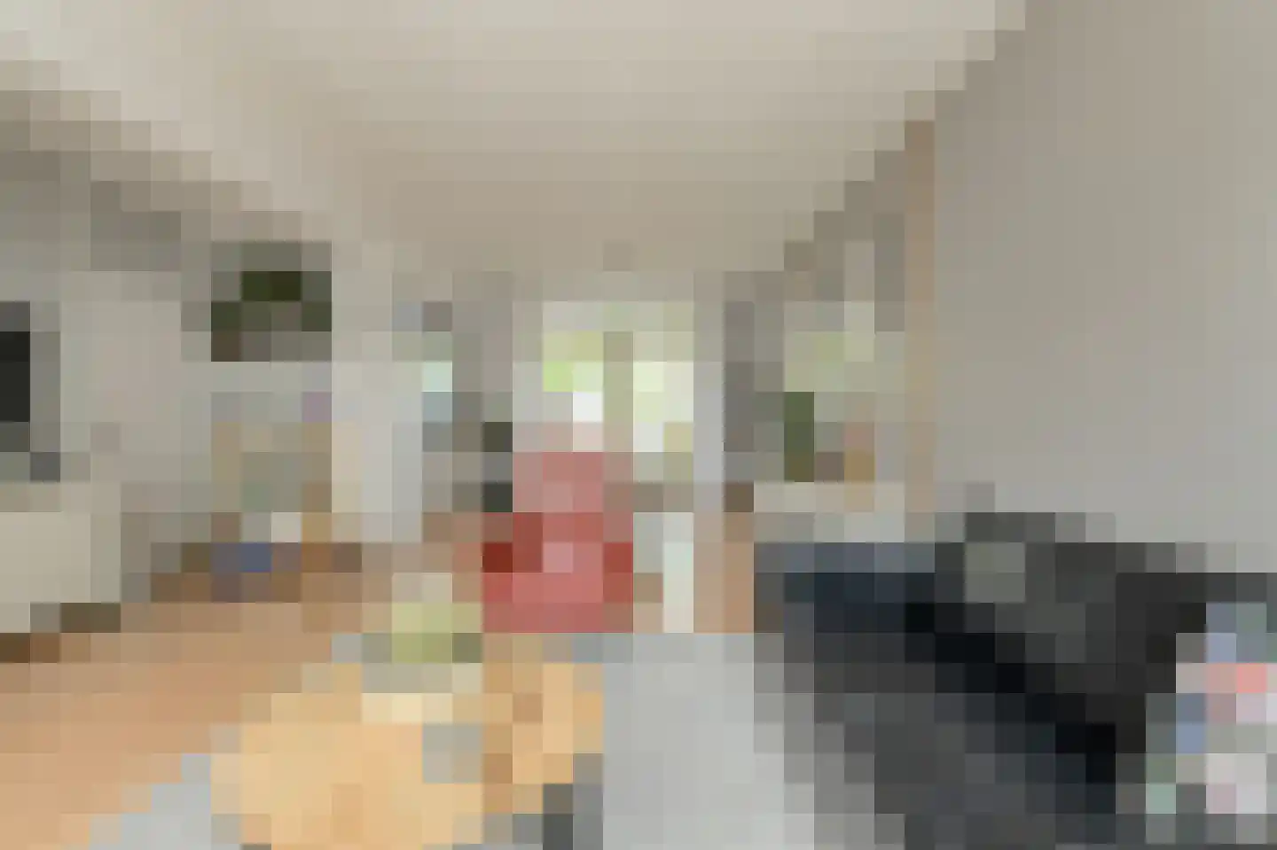Bovenmoeren 8 Breda thumbnail 7