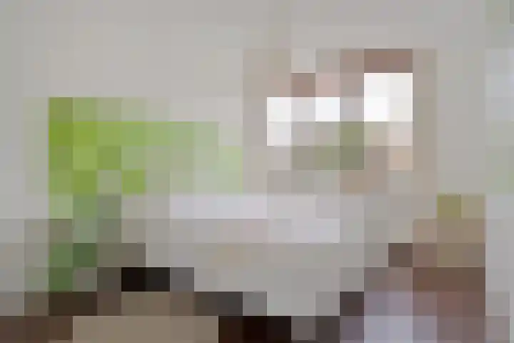 Bovenmonde 28 Nieuwegein thumbnail 18