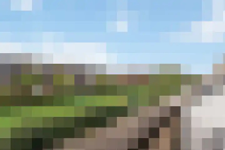 Bovenmonde 28 Nieuwegein thumbnail 33