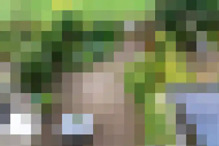 Bovenmonde 28 Nieuwegein thumbnail 34