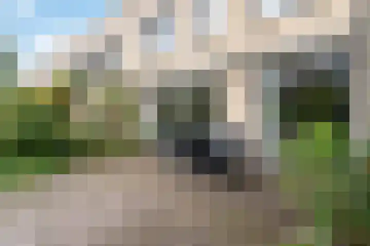 Bovenmonde 28 Nieuwegein thumbnail 37